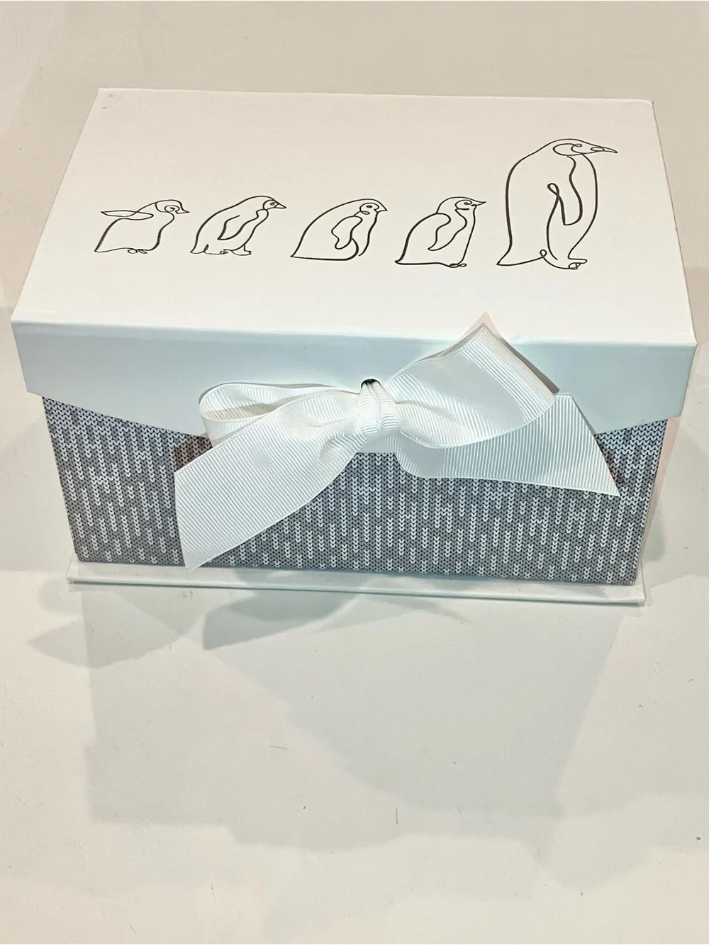 Light Blue Plush Throw with Embroidered Penguin Design